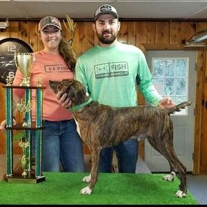 Meet your Posher, Hunter